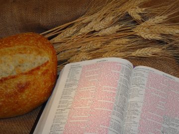 Il pane e la Parola